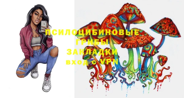 ПСИЛОЦИБИНОВЫЕ ГРИБЫ Семикаракорск