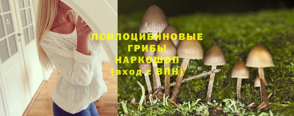 apvp Бугульма