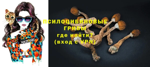 соль ск Бородино