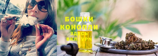 соль ск Бородино